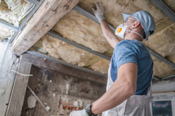 Best Insulation Installation Services in Ardmore, PA